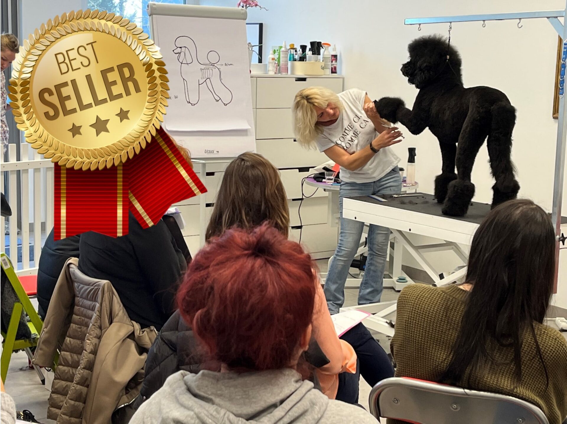 hundefriseur ausbildung