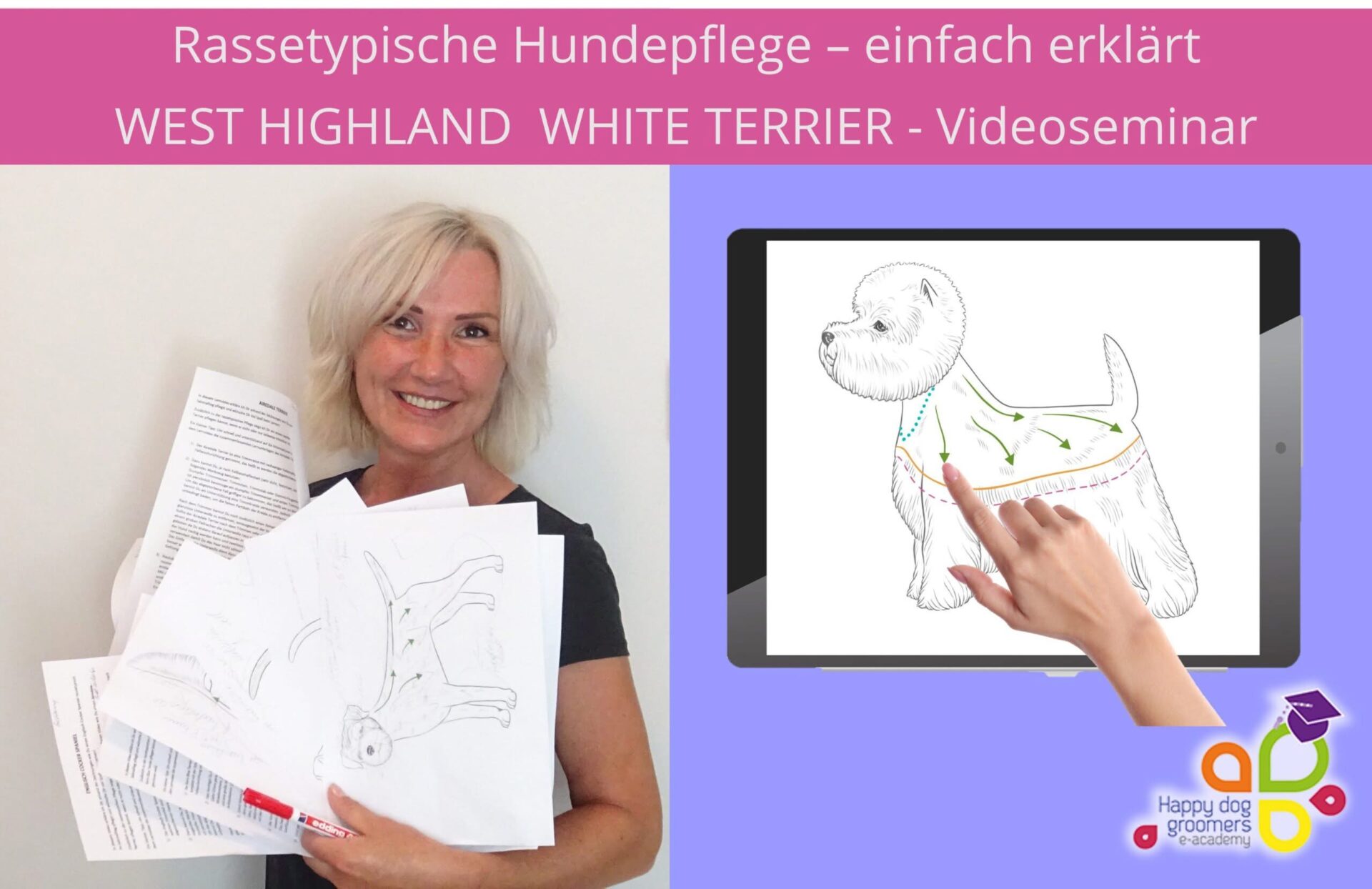 West Highland White Terrier trimmen