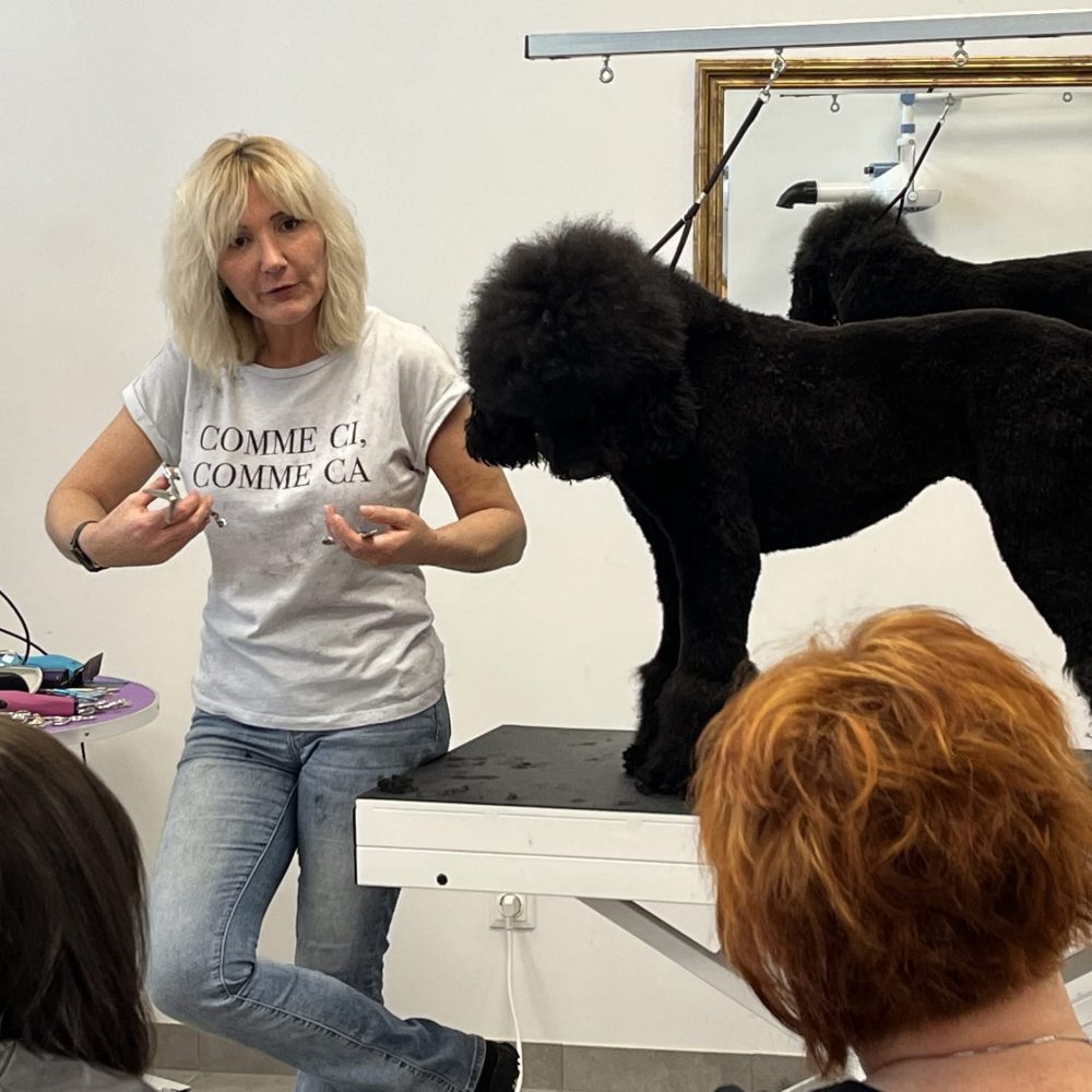 happy dog groomers